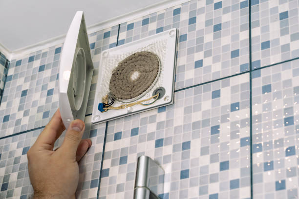 Best Air Vent Cleaning Services  in Princeton, KY