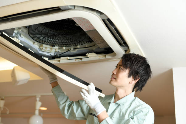 Best Affordable Duct Cleaning Services  in Princeton, KY