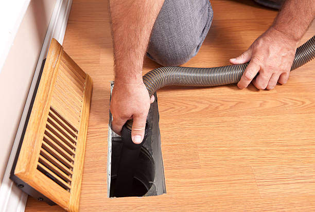 Best Duct Cleaning Specialists  in Princeton, KY