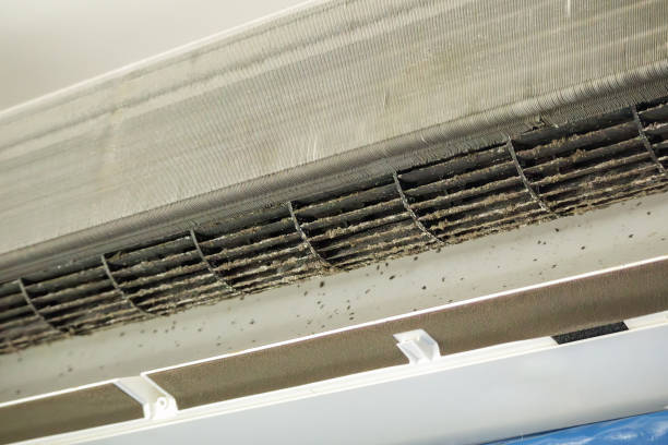 Best Home Air Vent Cleaning  in Princeton, KY