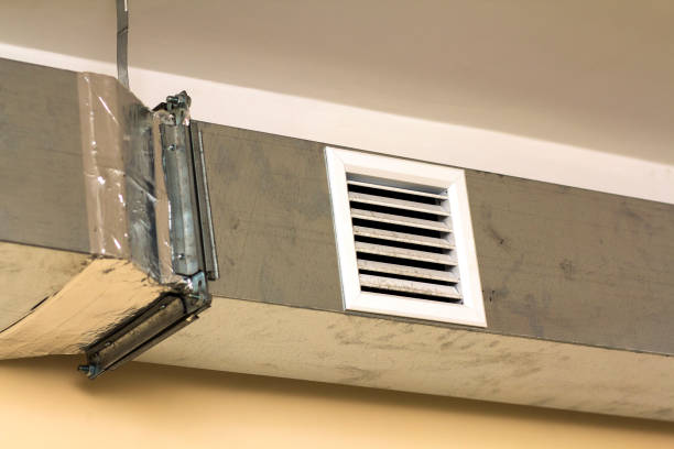 Best Affordable Duct Cleaning Services  in Princeton, KY